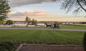 The view from the front porch