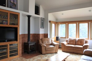 livingroom picture of decorative soapstone stove and easy chair