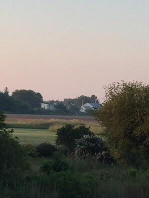 early Summer morning haze, fields ready for first cut and planting for corn crop