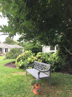 neighbors, formerly cousins' house