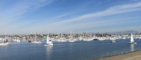 Marina Park beach across the street