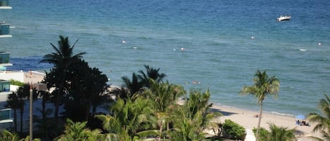 Vue sur la plage ou l’océan