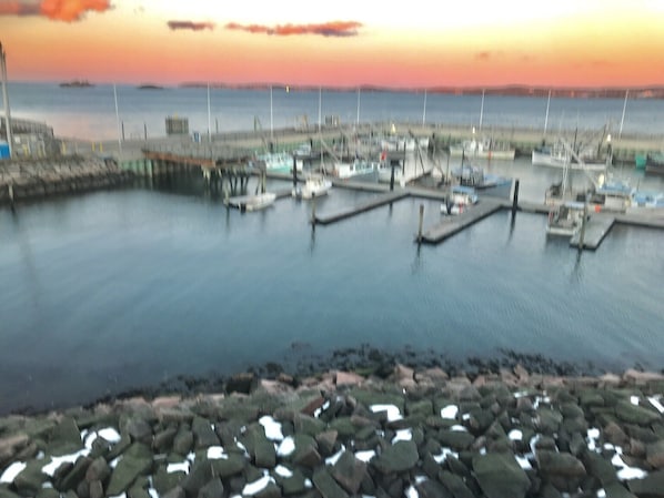 Marina