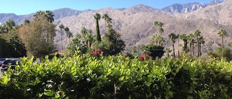 The patio view while enjoying morning coffee.  You can hike on trails up there.