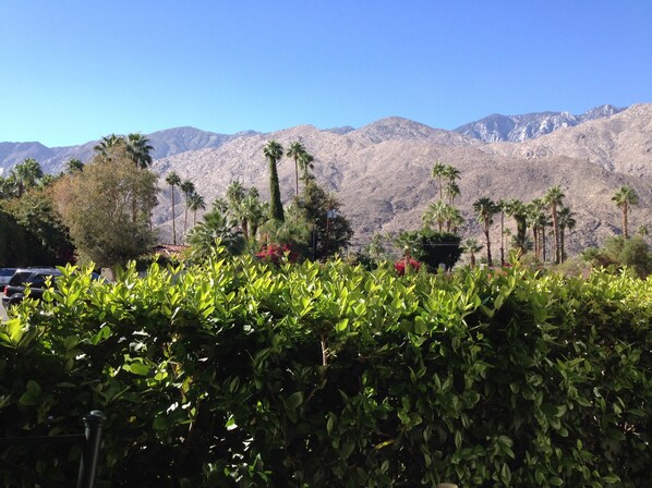 The patio view while enjoying morning coffee.  You can hike on trails up there.