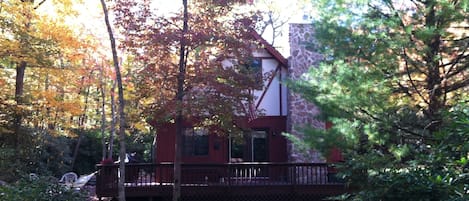 Cabin Surrounded by Fall Foliage