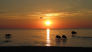 Spiaggia