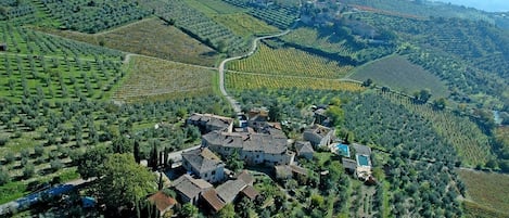 Aerial view of the Borgo surrounded by the vineyards of Casanova di Ama