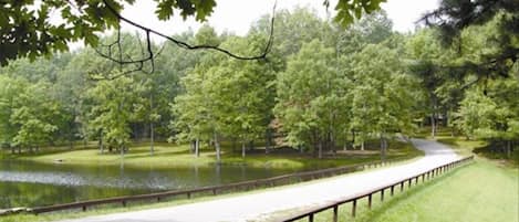 Driveway into the lodge