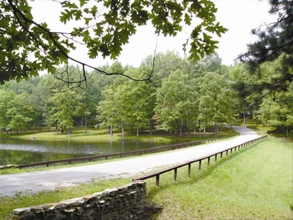 Driveway into the lodge