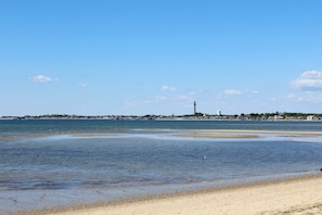 Views of Provincetown from the Cape Cod Bay beach