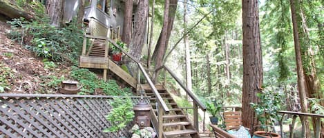 Littlehouse in the Redwoods Big Sur