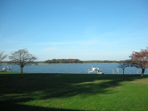 View of the front lawn.