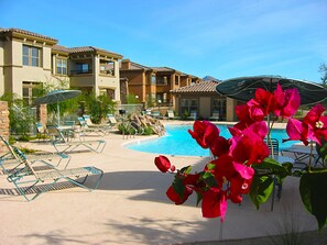 Beautiful flora and waterfalls surround heated pool and spa steps away!