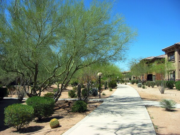 Explore the beautiful walk-ways!