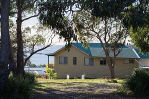 Bush reserve next door 