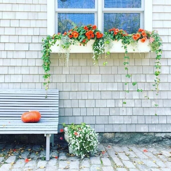 The front stoop
