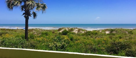 Ocean View From The Patio