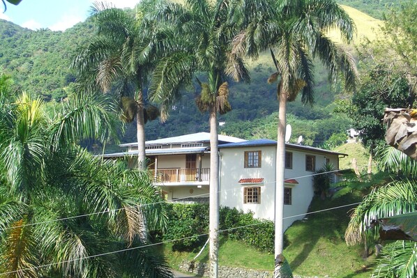 House Rear