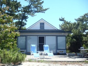 Bay front cottage set amid windswept pines sits directly on the beach