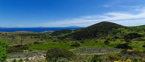 One brilliant view from the patio, across the orchards to the sea and Cyclades.