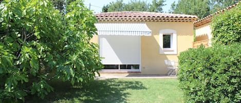 Sunny terras (south side) with garden and shade of fig tree