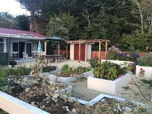 Flower, vegetable and herb garden for guests to use.