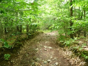 Great Pond Mountain Trail