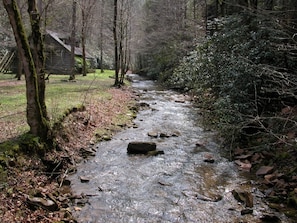 Creek in Yard