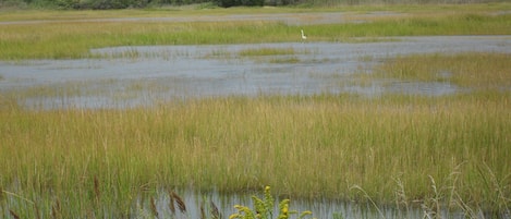 View of the estuary, from glass enclosed dining room and living room(High tide)