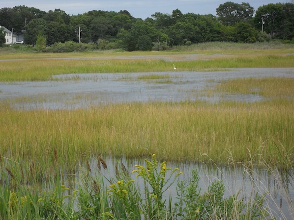 View of the estuary, from glass enclosed dining room and living room(High tide)