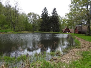 cabin and garage, fire pit on right with picnic table