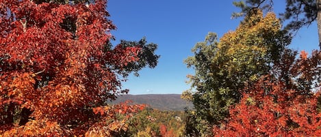 View from back deck in fall. Taken October 2022.
