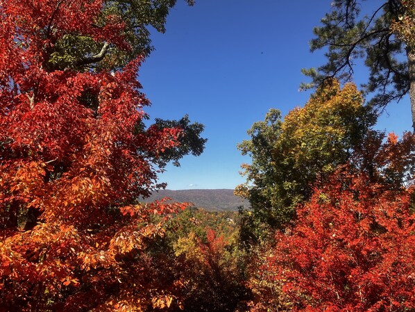 View from back deck in fall. Taken October 2022.