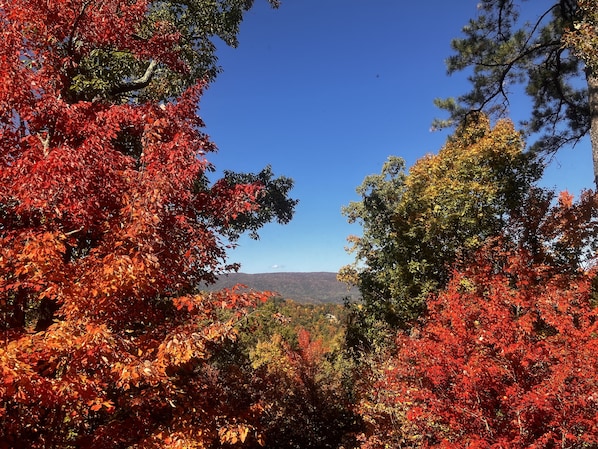 View from back deck in fall. Taken October 2022.