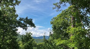 The view from the back deck August 2022