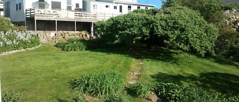 Backyard (view from shoreline) is abundant with perennials and canopy apple tree