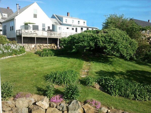 Backyard (view from shoreline) is abundant with perennials and canopy apple tree