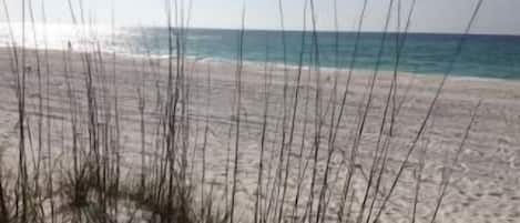 Beautiful white sandy beach steps away