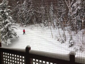 Taken from deck, this is Peters Trail right behind our Unit