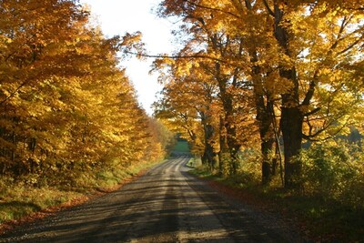 Autumn Roads