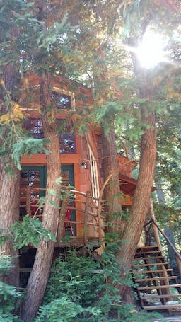 Front of Treehouse