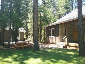 Cabin front yard