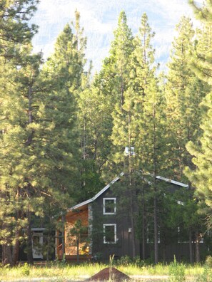 View of Cabin through the trees