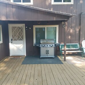 Entrance Door
