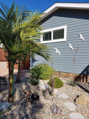 Hence the name The Seagull House.... Welcome!