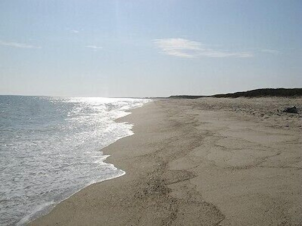 Tom Nevers Beach