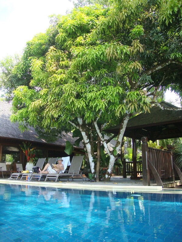 Relaxing under the Mango Tree - Poolside