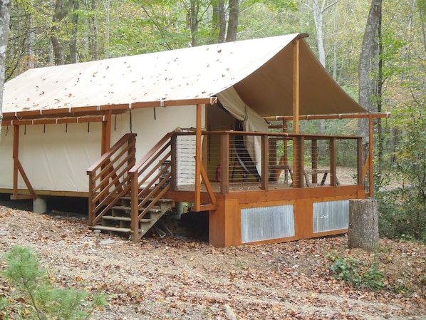 Luxury tent has 4 bunk beds, night stands, table, & book case.