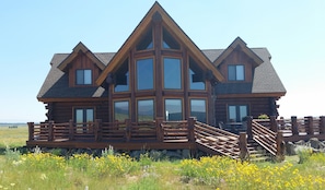 Backview of the Treehouse Lodge.  